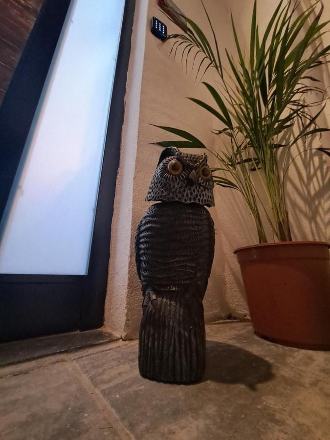Appartamento Casa Irene